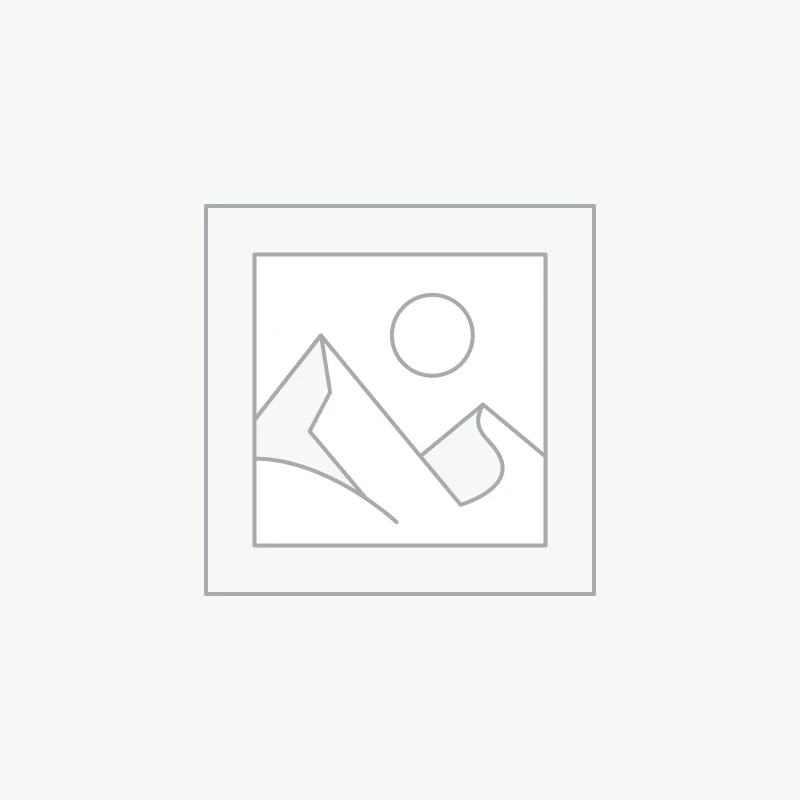 屿禾 · AI 语音伴侣 (旗舰版)